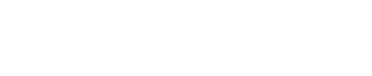 Steck Insights Web Design Logo
